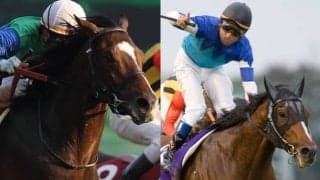 【POG】トーセンジョーダンやカンパニーの近親馬ダグフォースが9月11日に初陣 オーナーはサイバーエージェント・藤田晋氏