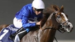 【POG】2018年ドバイシーマC覇者ホークビルの半妹が日本でデビュー　9月3日の札幌芝1500m