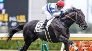 【新潟5R新馬戦結果】ヒシルリアンが押し切ってデビュー勝ち