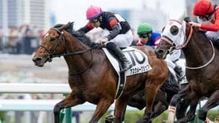 【札幌5R新馬戦結果】ファンタジストの全弟アスクメークシェアが内から差し切る