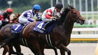 【関屋記念・馬体重】ダノンザキッドは526kg(0)、イルーシヴパンサーは474kg(-2)