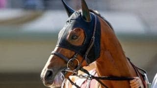 一昨年のNHKマイルカップ覇者ラウダシオンがダート初挑戦　佐賀・サマーチャンピオンに登録