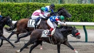 100円が187万円に！ 新潟8Rで人気薄の6枠2頭が激走