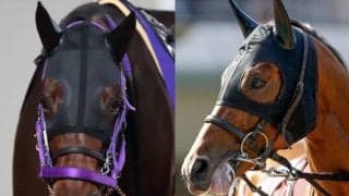 【サマーチャンピオン】出走予定馬および補欠馬が発表　ヒヤシンスS覇者コンバスチョン、GI馬ラウダシオンなど