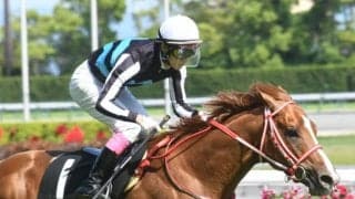 競走中止、競走除外馬の概要一覧　小倉記念プリマヴィスタ出走取消など/8月14日新潟・小倉・札幌