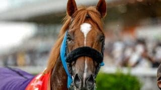 霜降り粗品＆ジャンポケ斉藤が自信の◎指名 ウインカーネリアンが3連勝で重賞初制覇/関屋記念