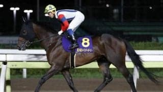 【大井・黒潮盃枠順確定】JDDで地方馬最先着を果たしたクライオジェニックは6枠8番、良血馬ライアンは2枠2番