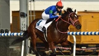 【仏・ジャックルマロワ賞結果】英インスパイラルがG1・3勝目、バスラットレオンは逃げるも7着