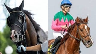 【先週のJRA抹消馬】GII2着馬ヴァルコス、重賞3勝スワーヴアラミス、GI3着2回のボンセルヴィーソなど