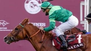 日本円にして約3億円！ 凱旋門賞馬ソットサスの全弟を矢作芳人調教師が高額落札/アルカナ・ドーヴィル1歳セール2022