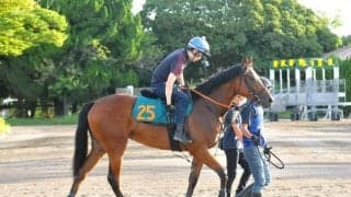 ブレイディヴェーグが福永祐一騎手でデビュー/関東馬メイクデビュー情報