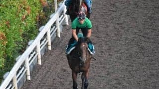 三冠牝馬ジェンティルドンナの半弟、イストロスがダートで初陣迎える/関西馬メイクデビュー情報