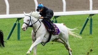 【札幌記念想定騎手】ソダシは吉田隼人騎手、ジャックドールは藤岡佑介騎手
