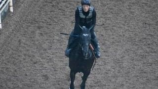 【北九州記念想定騎手】ナムラクレアは浜中俊騎手、タイセイビジョンは川田将雅騎手