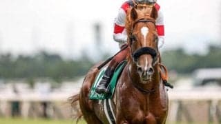 関屋記念重賞初制覇 今後もハイレベルなパフォーマンスが期待できそうなウインカーネリアン