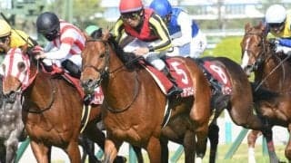 【札幌記念展望】スピードが要求されるレース、あの馬の大駆けを期待したい