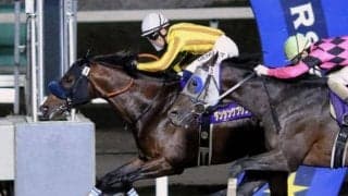 【クラスターC注目馬】今年のJBCスプリントと同条件で行われる夏の名物交流重賞