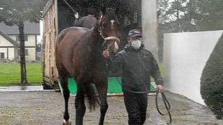 米G1勝ち馬ストラクターがレックススタッドに入厩