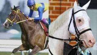 【札幌記念】24年ぶりエアグルーヴ以来の連覇なるか 純白の女王ソダシ