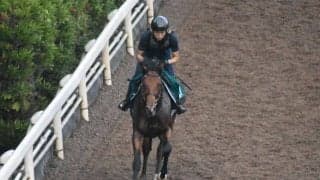 オープンファイアなど、先週の入厩情報/栗東トレセンニュース