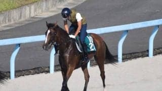 ハイアーレルムなど、先週のゲート試験/栗東トレセンニュース