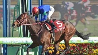 【札幌記念】距離短縮を味方に北の大地もスタコラサッサ？ドバイG1馬パンサラッサ