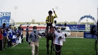 ステイフーリッシュがフランスに到着