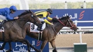 28日に仏G2出走、海外3連勝狙うステイフーリッシュがフランスに到着 「飛行機での輸送も慣れています」