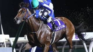 【門別・王冠賞結果】エンリルがゴールまで一人旅　二冠馬シルトプレに8馬身差を付けて逃げ切る
