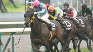 【北九州記念展望】サマースプリント4戦目、近年の好走傾向とは