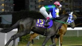 【大井・黒潮盃注目馬】多士済々なメンバー集う3歳重賞、灼熱の大井で熱戦期待