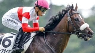 3億円馬ダノンザタイガーはNF天栄に放牧 次走は秋の東京開催を視野に