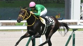 【次走】オバケノキンタはひまわり賞へ 九州産馬限定未勝利戦を上がり最速で快勝した熊本県産馬が連勝を狙う