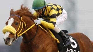 2018年宝塚記念3着馬ノーブルマーズ、引退馬再就職支援プログラムへの受け入れが決定