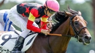 【次走】サイブレーカーは京都2歳Sへ 今年の米G1・フロリダダービー覇者の近親にあたる米国産馬