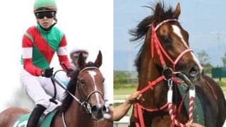 【キーンランドC想定】連覇かかるレイハリア、3連勝目指すウインマーベル、重賞連勝狙うビリーバーなど12頭