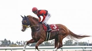 【札幌記念】偉大な父の雪辱を果たす時 成熟した黄金の大器ジャックドール