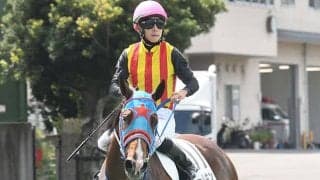 【次走】トールキンはカンナSへ 小倉芝1200mを前半3F32.9秒のペースで悠々逃げ切り