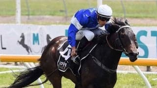 落馬事故死の日本人騎手に捧げる勝利　レース後の仕草に競馬ファン涙「この動きだけで…」