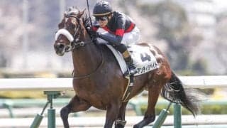 GI馬5頭が参戦、しかしAIが指名したのは重賞馬ではなく……？