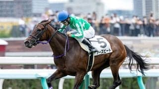 【次走】アースビートは札幌2歳Sへ 好スタートを活かしてサトノクラウン産駒初重賞制覇を狙う