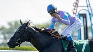 【北九州記念出走馬・騎手確定】ナムラクレア＆浜中俊騎手、タイセイビジョン＆川田将雅騎手など18頭