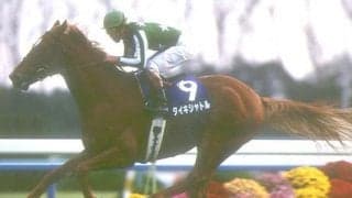 【JRA】タイキシャトル追悼関連行事を実施