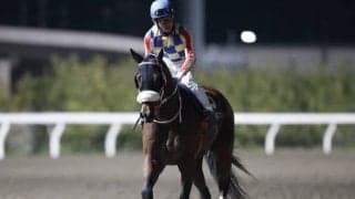 【佐賀・サマーチャンピオン出走予定馬】シャマル、ラウダシオンら