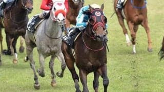 タイキシャトル追悼競走にタイキシャトル産駒が出走 土曜小倉11Rのオルダージュ