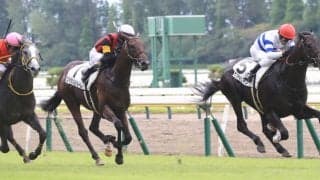 【新馬/新潟5R】キズナ産駒 ヒシルリアンがデビューV