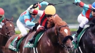 【関屋記念】三浦「ホッとした」ウインカーネリアンが重賞初制覇