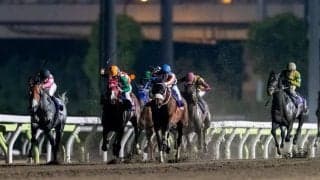 【サマーチャンピオン】JRA出走予定馬