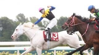 【札幌記念枠順確定】ソダシは5枠10番、ジャックドールは2枠4番