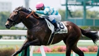 【新潟2歳S想定】ビーチパトロール産駒初Vのシーウィザード、中央転厩初戦のスタンレーなど9頭